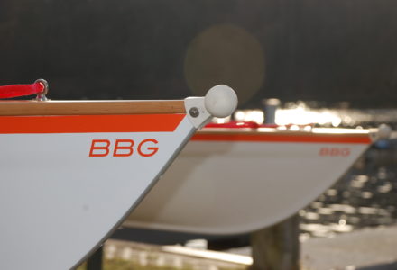 C-Gig_Bug